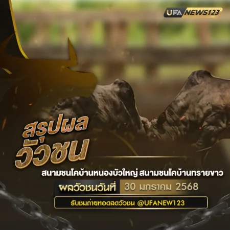 ผลวัวชน 30 มกราคม 2568