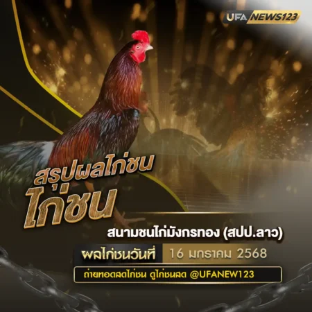ผลไก่ชน 16 มกราคม 2568