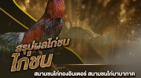ผลไก่ชน 18 มกราคม 2568