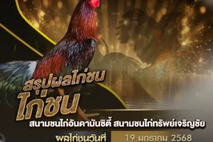 ผลไก่ชน 19 มกราคม 2568