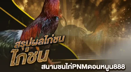 ผลไก่ชน 28 มกราคม 2568