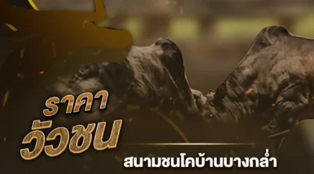 ราคาวัวชน 18 มกราคม 2568