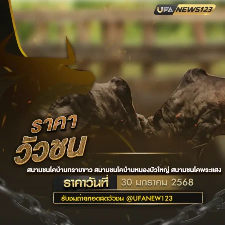 ราคาวัวชน 30 มกราคม 2568