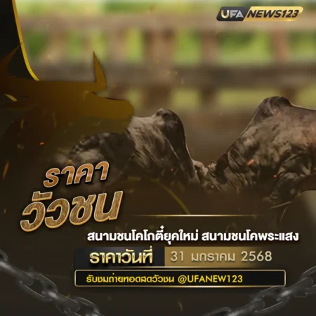 ราคาวัวชน 31 มกราคม 2568