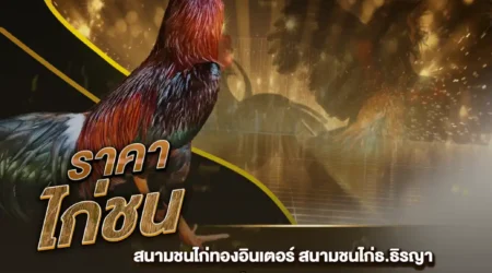 ราคาไก่ชน 25 มกราคม 2568
