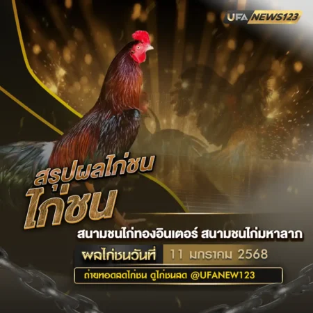 ผลไก่ชน 11 มกราคม 2568