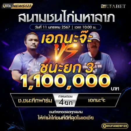 เทปไก่ชน ช.ชนะศิฟาร์ม VS เอกนะจ๊ะ 11 มกราคม 2568