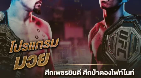 โปรแกรมมวย 02 มกราคม 2568