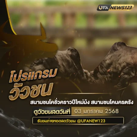 โปรแกรมวัวชน 03 มกราคม 2568