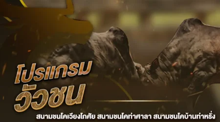 โปรแกรมวัวชน 19 มกราคม 2568