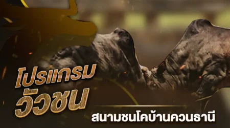 โปรแกรมวัวชน 22 มกราคม 2568