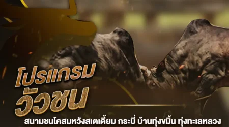 โปรแกรมวัวชน 25 มกราคม 2568