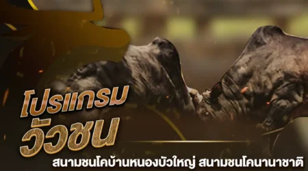 โปรแกรมวัวชน 27 มกราคม 2568