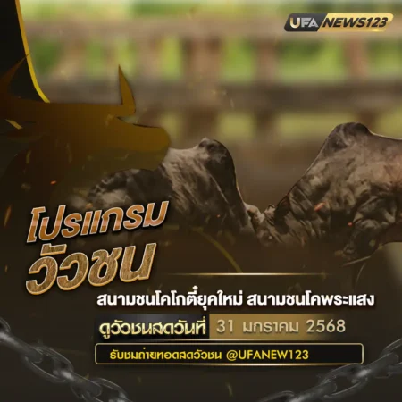 โปรแกรมวัวชน 31 มกราคม 2568