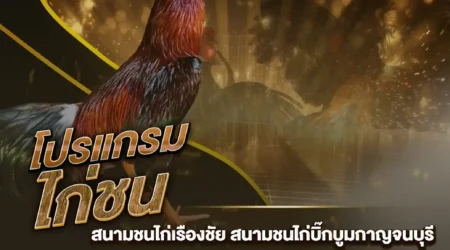 โปรแกรมไก่ชน 12 มกราคม 2568
