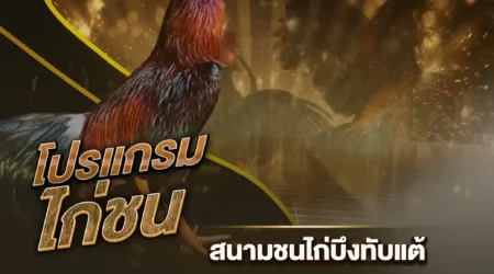 โปรแกรมไก่ชน 13 มกราคม 2568