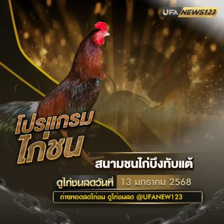 โปรแกรมไก่ชน 13 มกราคม 2568