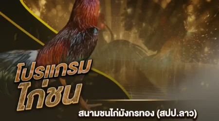 โปรแกรมไก่ชน 16 มกราคม 2568