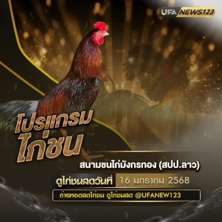 โปรแกรมไก่ชน 16 มกราคม 2568