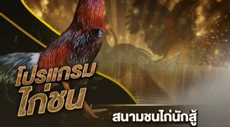 โปรแกรมไก่ชน 21 มกราคม 2568