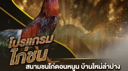 โปรแกรมไก่ชน 24 มกราคม 2568