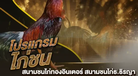 โปรแกรมไก่ชน 25 มกราคม 2568