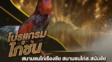 โปรแกรมไก่ชน 26 มกราคม 2568