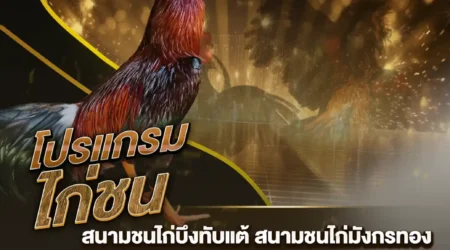 โปรแกรมไก่ชน 27 มกราคม 2568