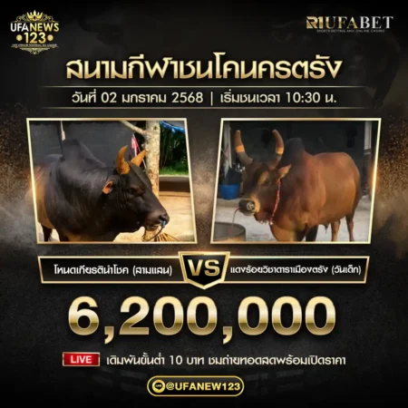 ย้อนหลังวัวชน โหนดเกียรตินำโชค (สามแสน) VS แดงร้อยวิชาดาราเมืองตรัง (วันเด็ก) 02 มกราคม 2568