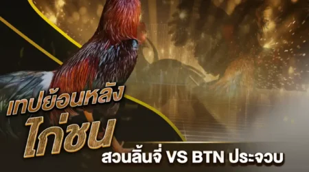 เทปไก่ชน สวนลิ้นจี่ VS BTN ประจวบ 09 กุมภาพันธ์ 2568