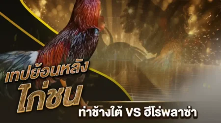 เทปไก่ชน ท่าช้างใต้ VS ฮีโร่พลาซ่า 09 กุมภาพันธ์ 2568