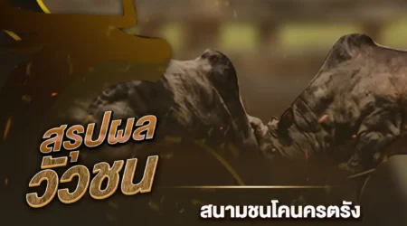 ผลวัวชน 07 กุมภาพันธ์ 2568
