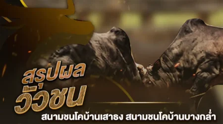 ผลวัวชน 13 กุมภาพันธ์ 2568