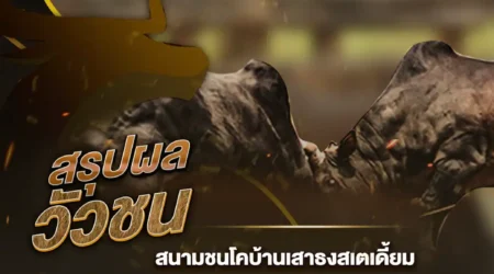 ผลวัวชน 14 กุมภาพันธ์ 2568