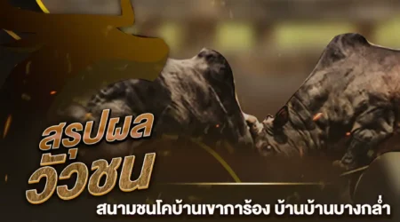 ผลวัวชน 15 กุมภาพันธ์ 2568