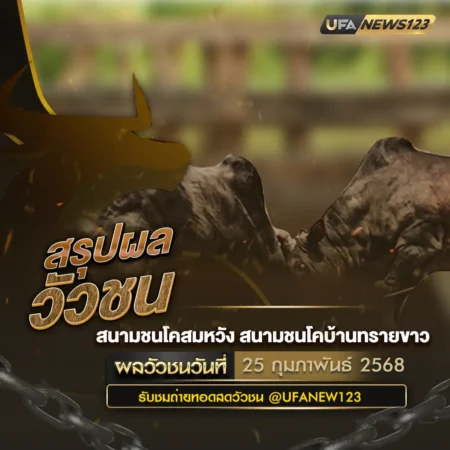 ผลวัวชน 25 กุมภาพันธ์ 2568