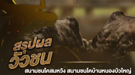 ผลวัวชน 27 กุมภาพันธ์ 2568