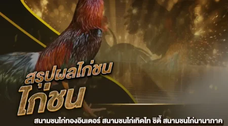 ผลไก่ชน 02 กุมภาพันธ์ 2568