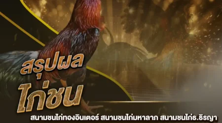 ผลไก่ชน 08 กุมภาพันธ์ 2568