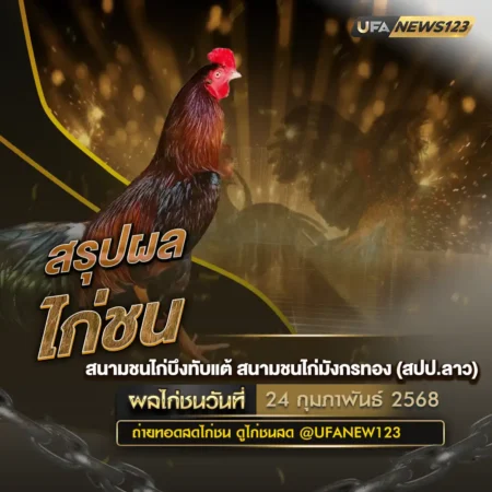 ผลไก่ชน 24 กุมภาพันธ์ 2568