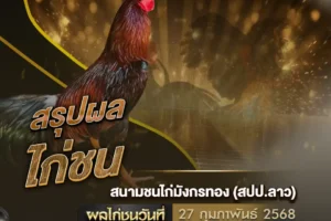 ผลไก่ชน 27 กุมภาพันธ์ 2568