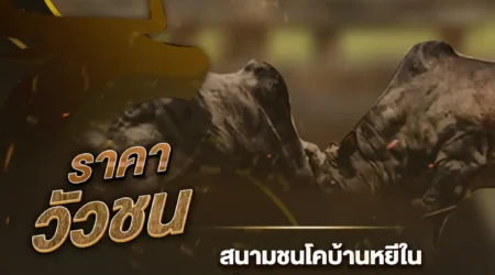 ราคาวัวชน 04 กุมภาพันธ์ 2568