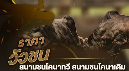 ราคาวัวชน 09 กุมภาพันธ์ 2568