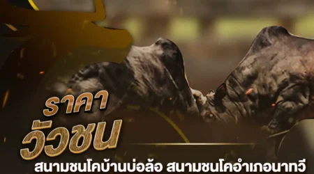 ราคาวัวชน 10 กุมภาพันธ์ 2568