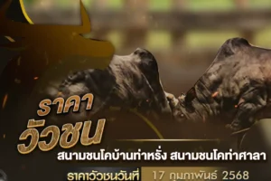 ราคาวัวชน 17 กุมภาพันธ์ 2568
