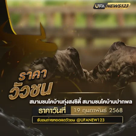 ราคาวัวชน 19 กุมภาพันธ์ 2568