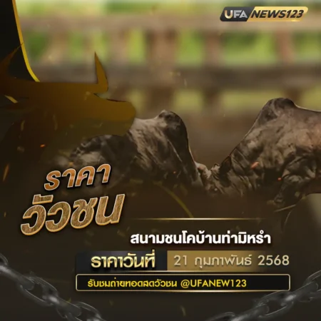 ราคาวัวชน 21 กุมภาพันธ์ 2568
