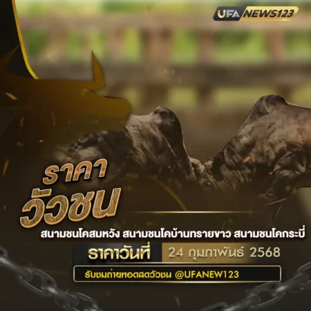 ราคาวัวชน 24 กุมภาพันธ์ 2568