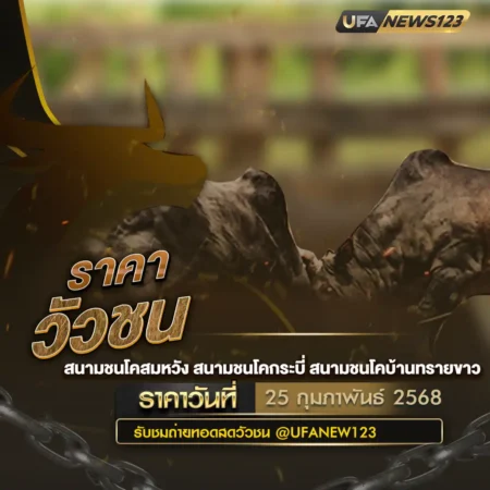 ราคาวัวชน 25 กุมภาพันธ์ 2568