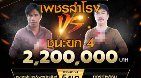 เทปไก่ชน เพชรสำโรง VS ทองคำฟาร์ม 08 กุมภาพันธ์ 2568